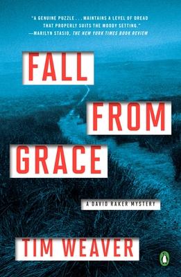 Fall from Grace: A David Raker Mystery