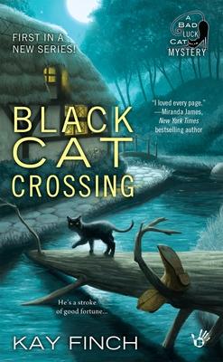 Black Cat Crossing