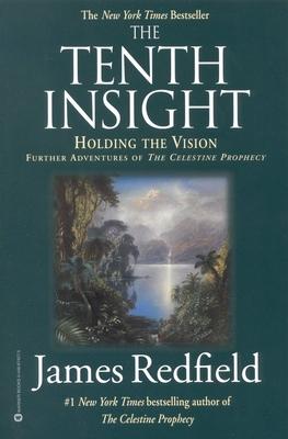 The Tenth Insight: Holding the Vision Subscription