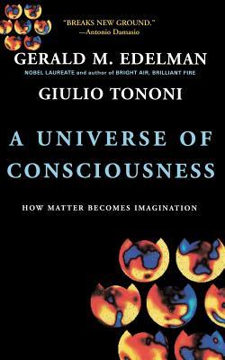 A Universe of Consciousness