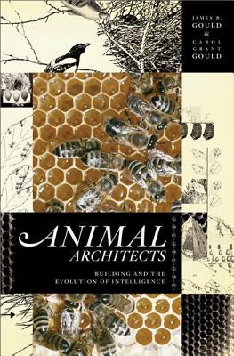 Animal Architects: Building and the Evolution of Intelligence