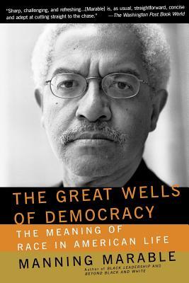 The Great Wells of Democracy: The Meaning of Race in American Life