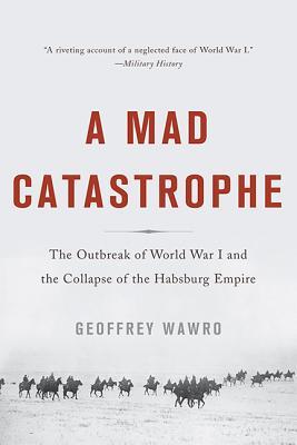 A Mad Catastrophe: The Outbreak of World War I and the Collapse of the Habsburg Empire