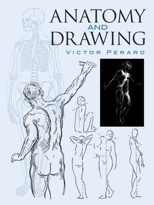 Anatomy and Drawing