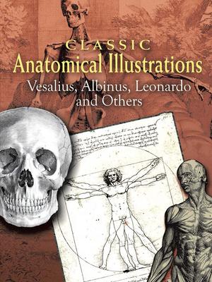 Classic Anatomical Illustrations: Vesalius, Albinus, Leonardo and Others