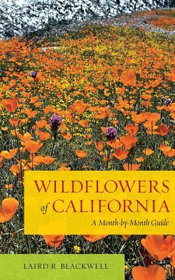 Wildflowers of California: A Month-By-Month Guide