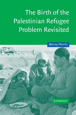 The Birth of the Palestinian Refugee Problem Revisited