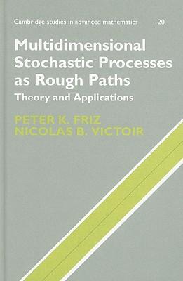 Multidimensional Stochastic Processes as Rough Paths