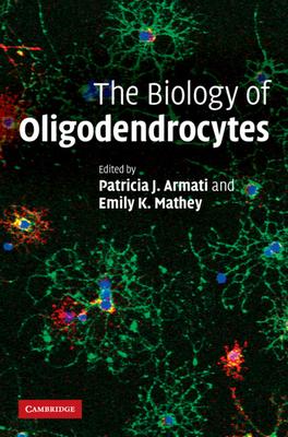 The Biology of Oligodendrocytes