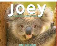 Joey: A Baby Koala and His Mother Subscription
