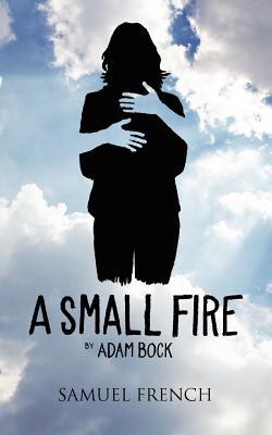 A Small Fire Subscription