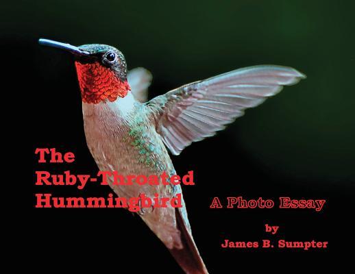 The Ruby-throated Hummingbird: A Photo Essay