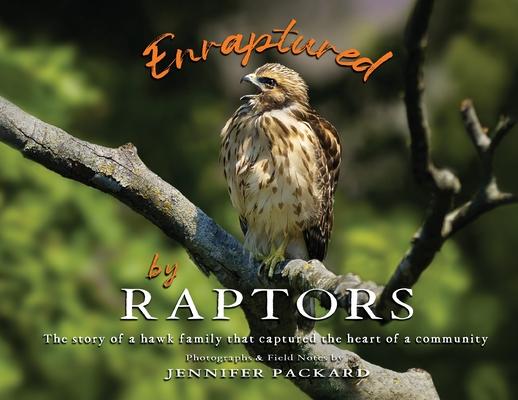 Enraptured by Raptors: The story of a hawk family that captured the heart of a community