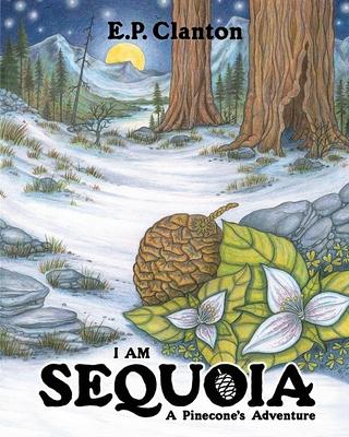 I Am Sequoia - A Pinecone's Adventure