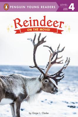 Reindeer: On the Move!