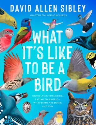 What It's Like to Be a Bird (Adapted for Young Readers): From Flying to Nesting, Eating to Singing--What Birds Are Doing and Why