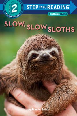 Slow, Slow Sloths Subscription