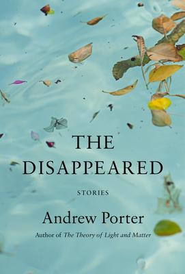 The Disappeared: Stories