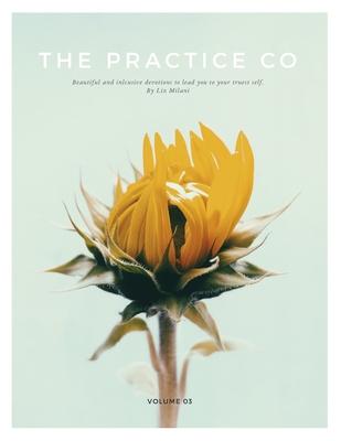 The Practice Co - Volume Three