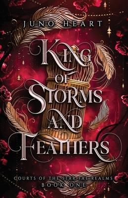 King of Storms and Feathers: A Dark Fae Fantasy Romance