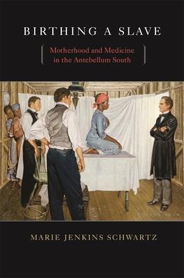 Birthing a Slave: Motherhood and Medicine in the Antebellum South Subscription