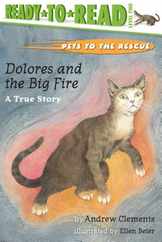Dolores and the Big Fire: Dolores and the Big Fire (Ready-To-Read Level 1) Subscription