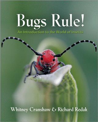 Bugs Rule!: An Introduction to the World of Insects