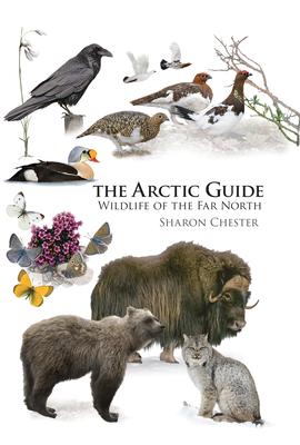 The Arctic Guide: Wildlife of the Far North