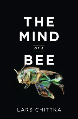 The Mind of a Bee