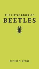 The Little Book of Beetles Subscription