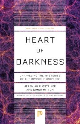 Heart of Darkness: Unraveling the Mysteries of the Invisible Universe