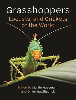 Grasshoppers, Locusts, and Crickets of the World Subscription