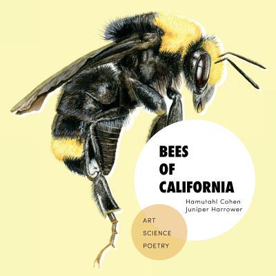 Bees of California: Art, Science, and Poetry