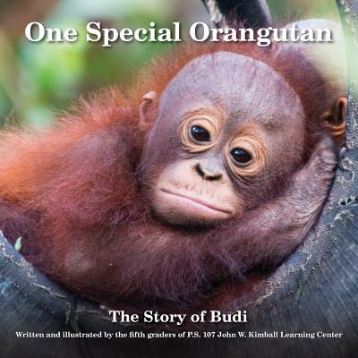 One Special Orangutan: The Story of Budi