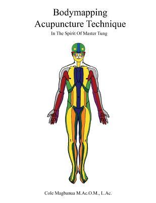 Bodymapping Acupuncture Technique: In the Spirit of Master Tung