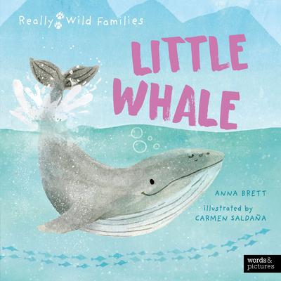 Little Whale: A Day in the Life of a Little Whale