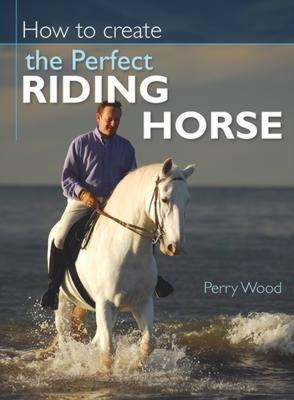 How to Create the Perfect Riding Horse