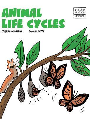 Animal Life Cycles