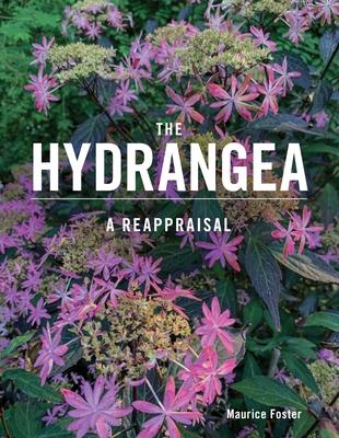 The Hydrangea: A Reappraisal