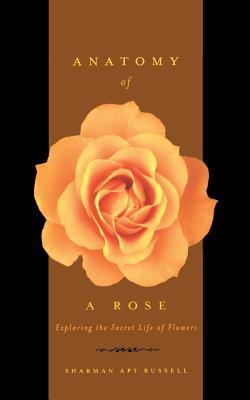 Anatomy of a Rose: Exploring the Secret Life of Flowers