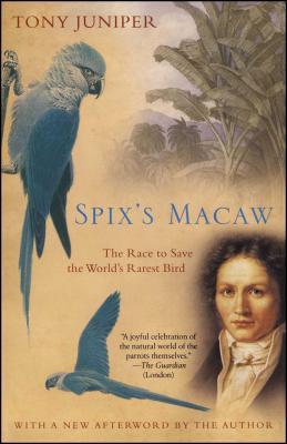 Spix's Macaw Subscription