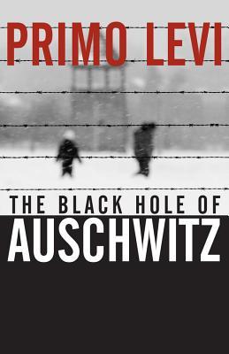 The Black Hole of Auschwitz