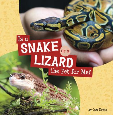 Is a Snake or a Lizard the Pet for Me?