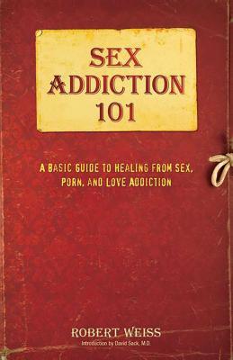 Sex Addiction 101: A Basic Guide to Healing from Sex, Porn, and Love Addiction