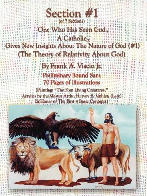 Section #1 One Who Has Seen God, a Catholic, Gives New Insights about the Nature of God