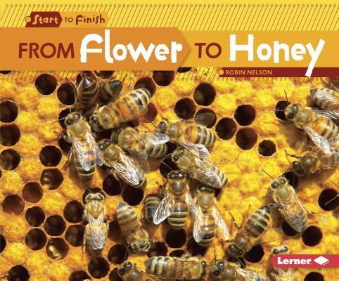 From Flower to Honey