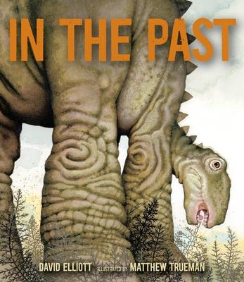 In the Past: From Trilobites to Dinosaurs to Mammoths in More Than 500 Million Years