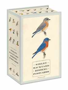 Sibley Backyard Birding Postcards: 100 Postcards