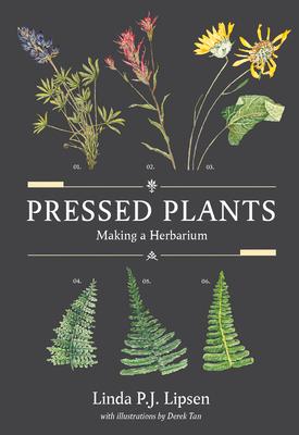 Pressed Plants: Making a Herbarium