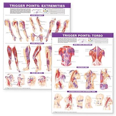 Trigger Point Chart Set: Torso & Extremities Paper